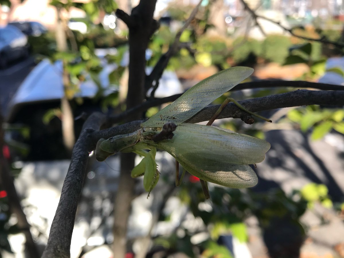 カワハヤ (@uu_nousonseitai) on Twitter photo 