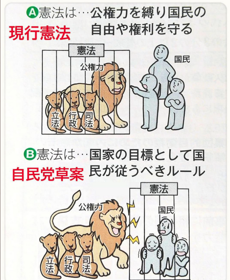 憲法は国家権力が暴走しないために閉じ込めておく檻です。

暴走しようとする国家権力を檻から解放したらどうなりますか？という事です。
