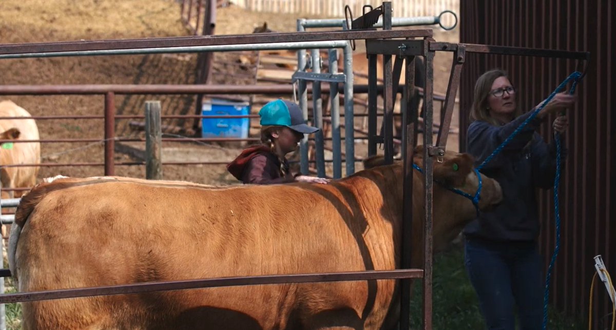 Beef Cattle Research Council tweet media