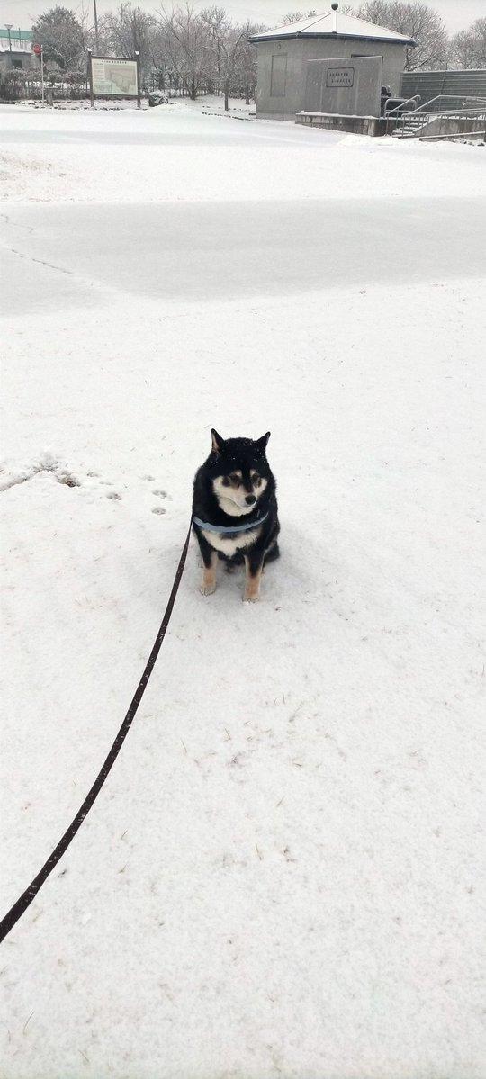 座るために来たんじゃないのよ…
