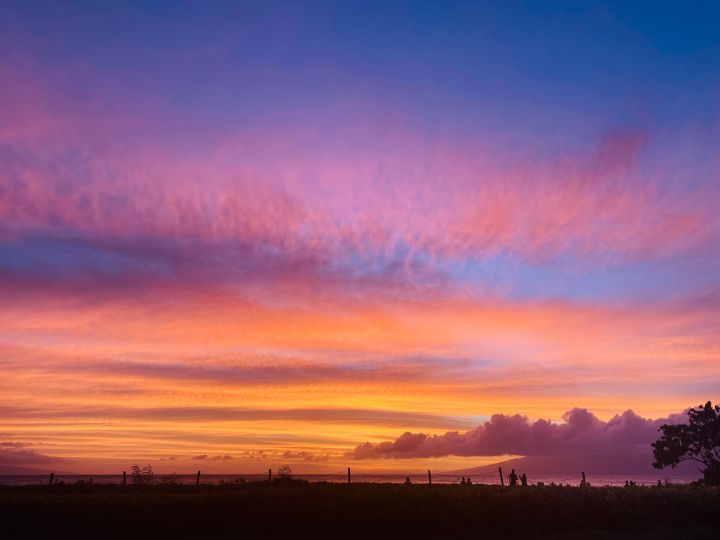 Art of the Day! "Pink Sunset". Buy at: ArtPal.com/art4allpeople?…
