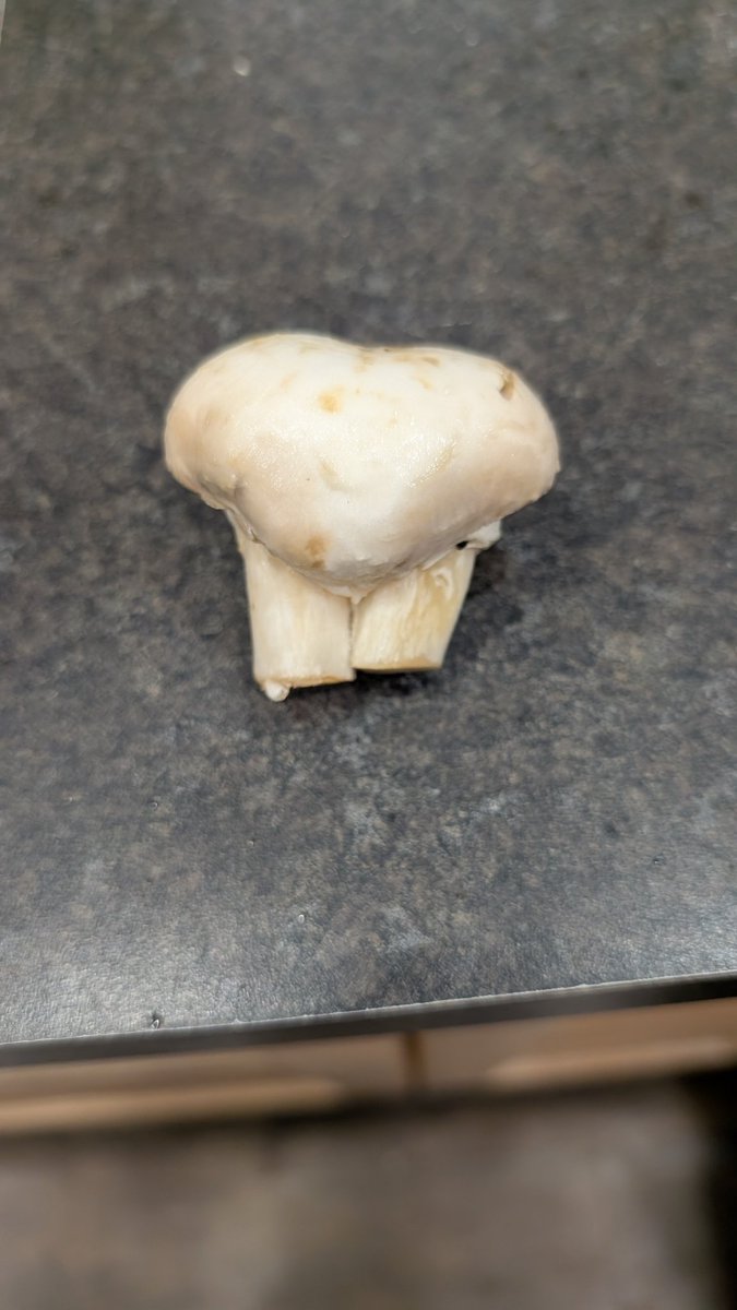 flatulanthippo's tweet image. Never saw a double steamed mushroom before.