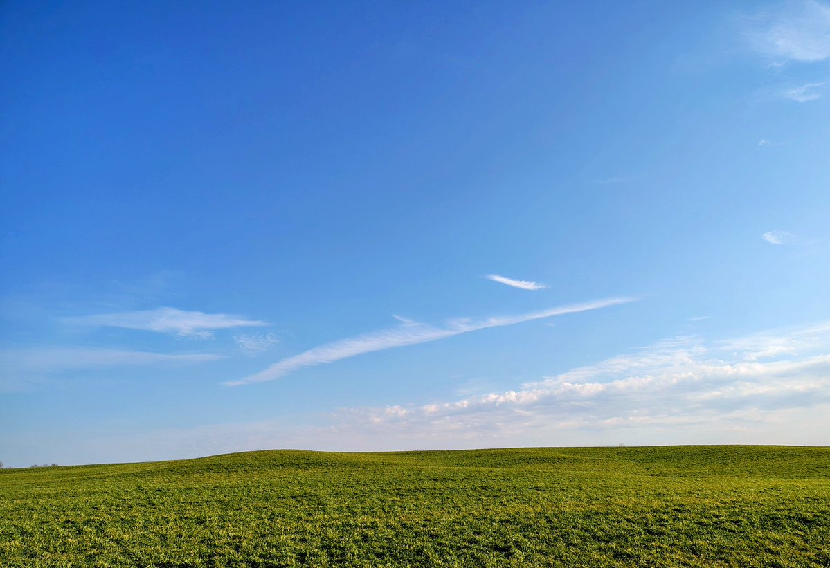 Whatevermind2's tweet image. Rejoicing in this gorgeous day!