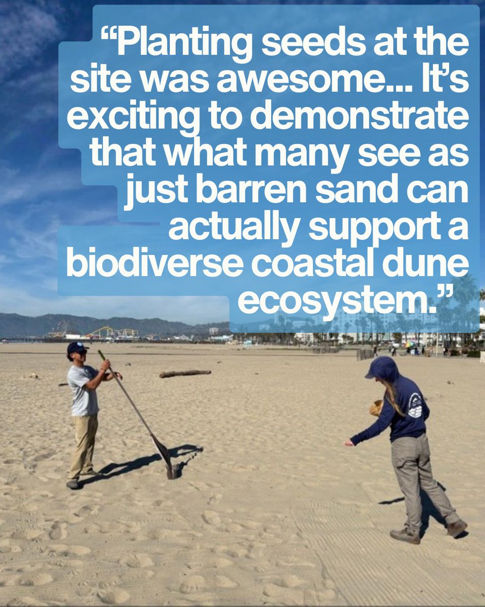 The Bay Foundation tweet media