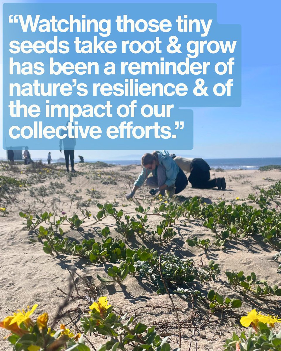 The Bay Foundation tweet media