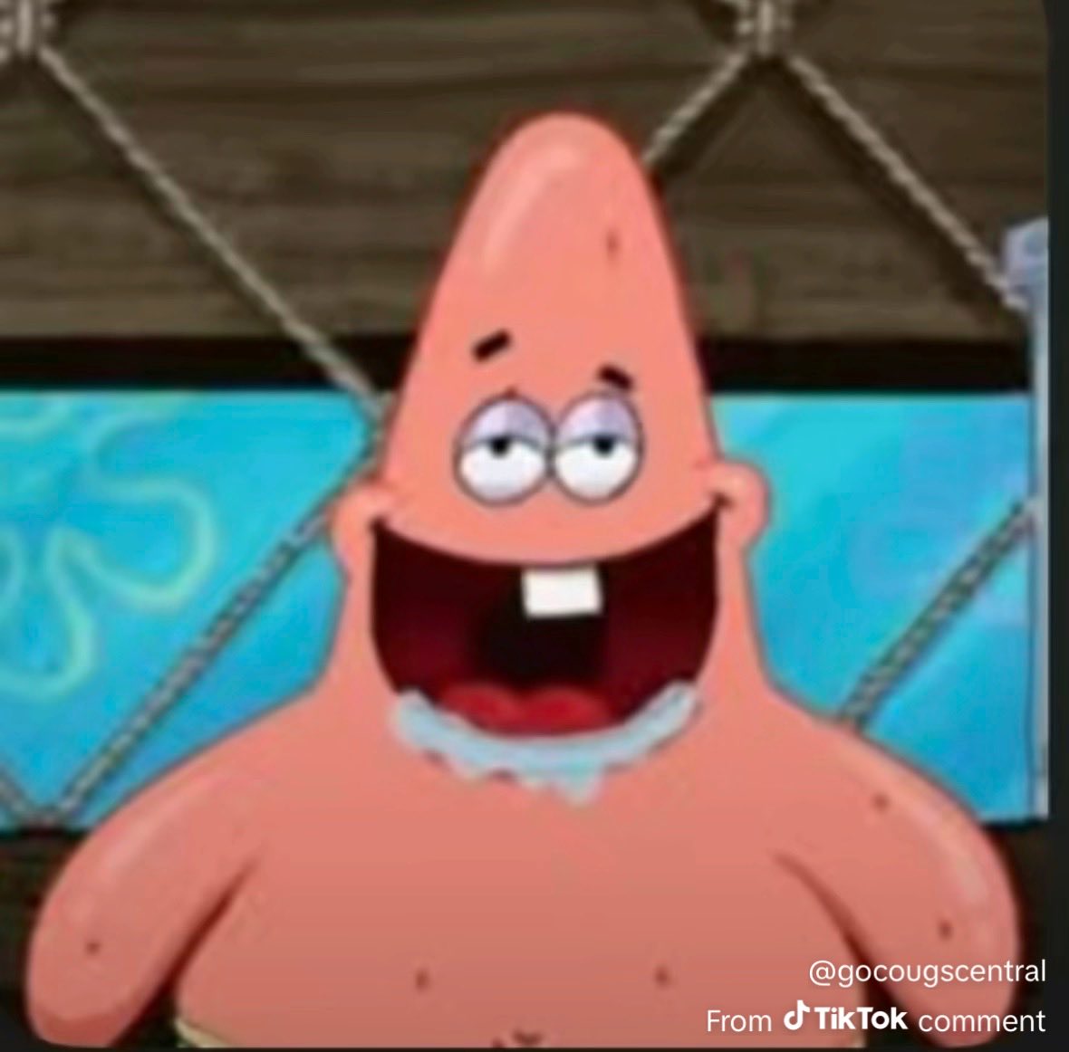 Proseqted tweet media