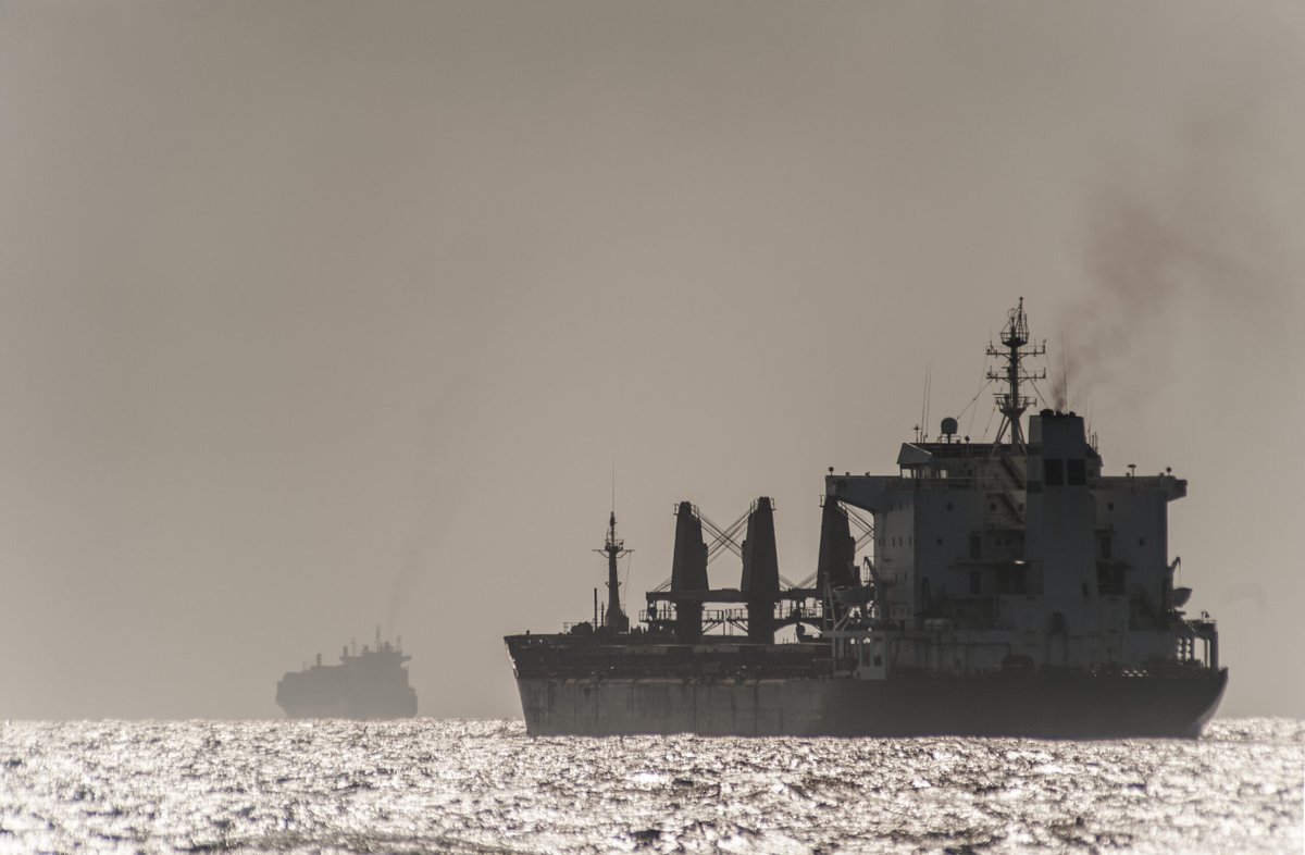 Shipping Telegraph tweet media