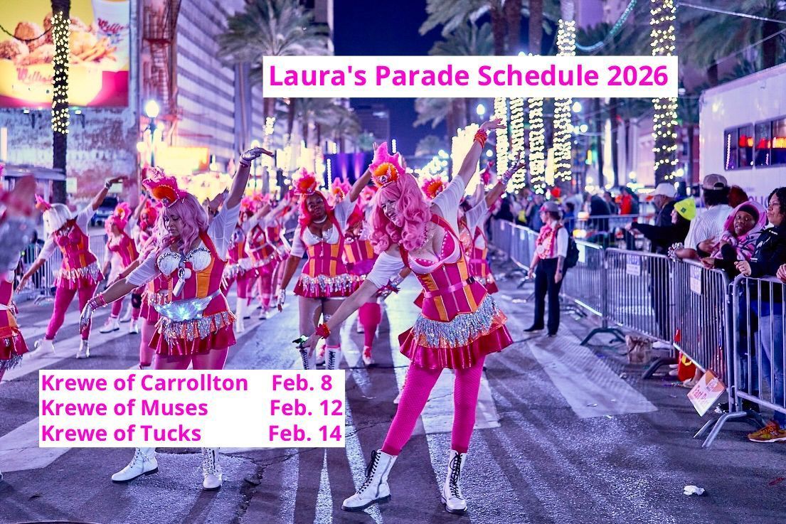 KnowSmallParts's tweet photo. Come see me dancing with the #Pussyfooters in #KreweOfMuses and #KreweOfTucks! #MusesParade #TucksParade #MardiGras @BlushBall #neworleanslife #neworleansparade #paradedancer #carnivaltime #NewOrleans #mardigrasparade Photo by: Eli Mergel https://t.co/Ab9sAkxpdS
