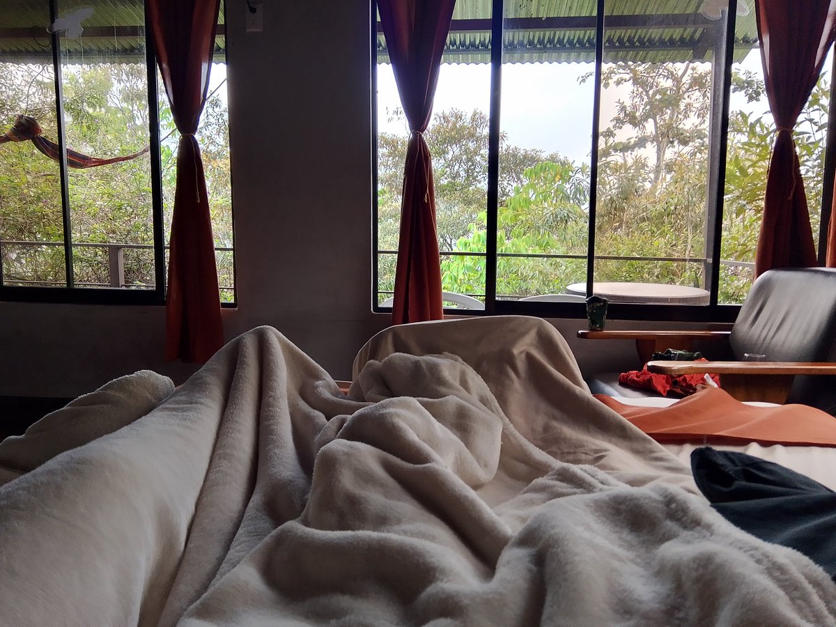 Desde aquí los leo....