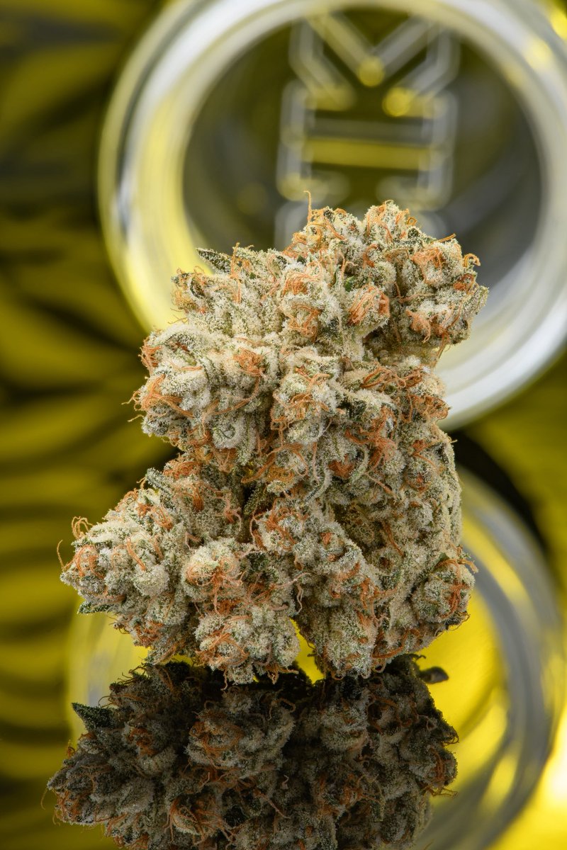 Khalifa Kush tweet media