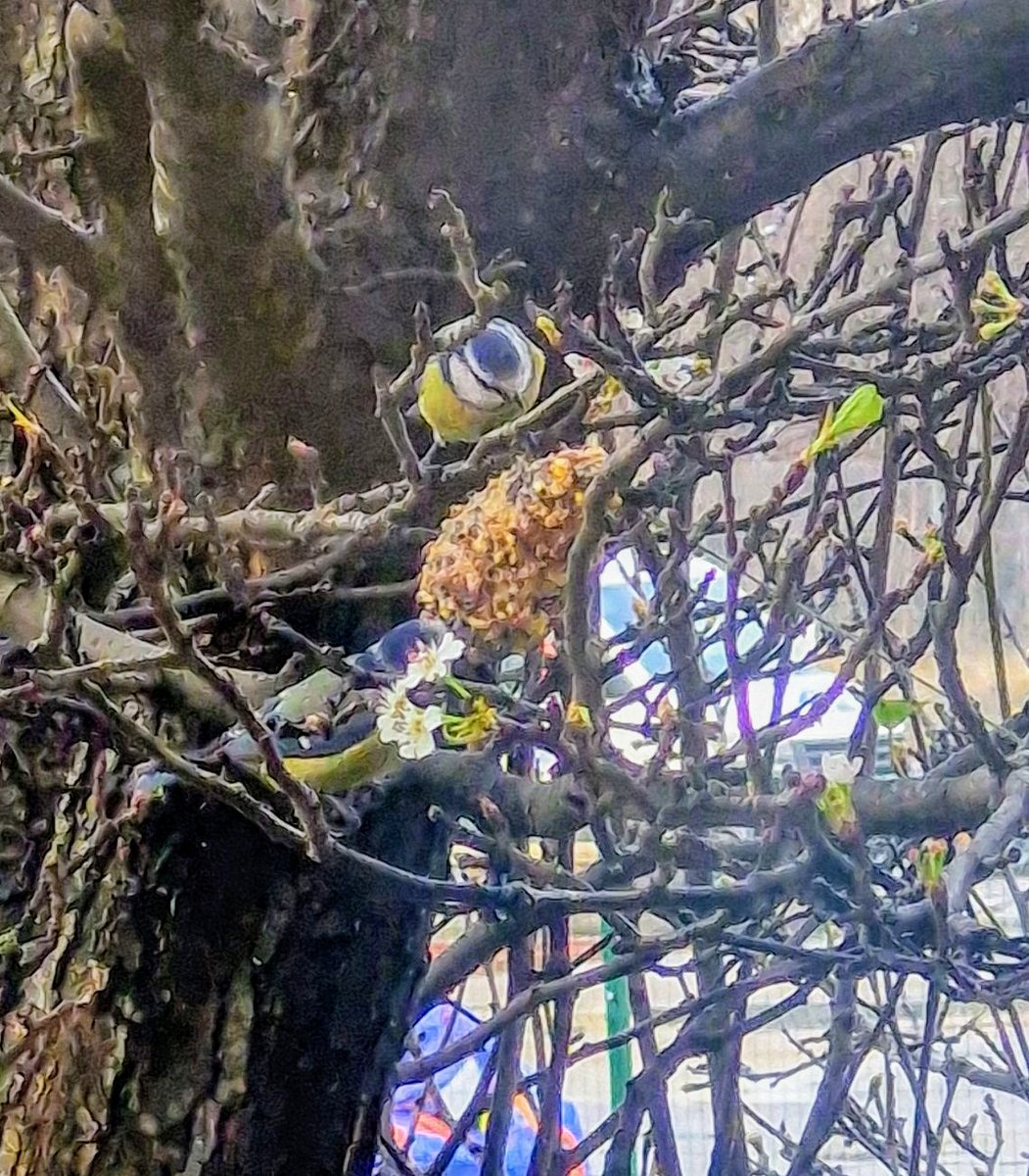 WCS Learner Development Sustainability tweet media