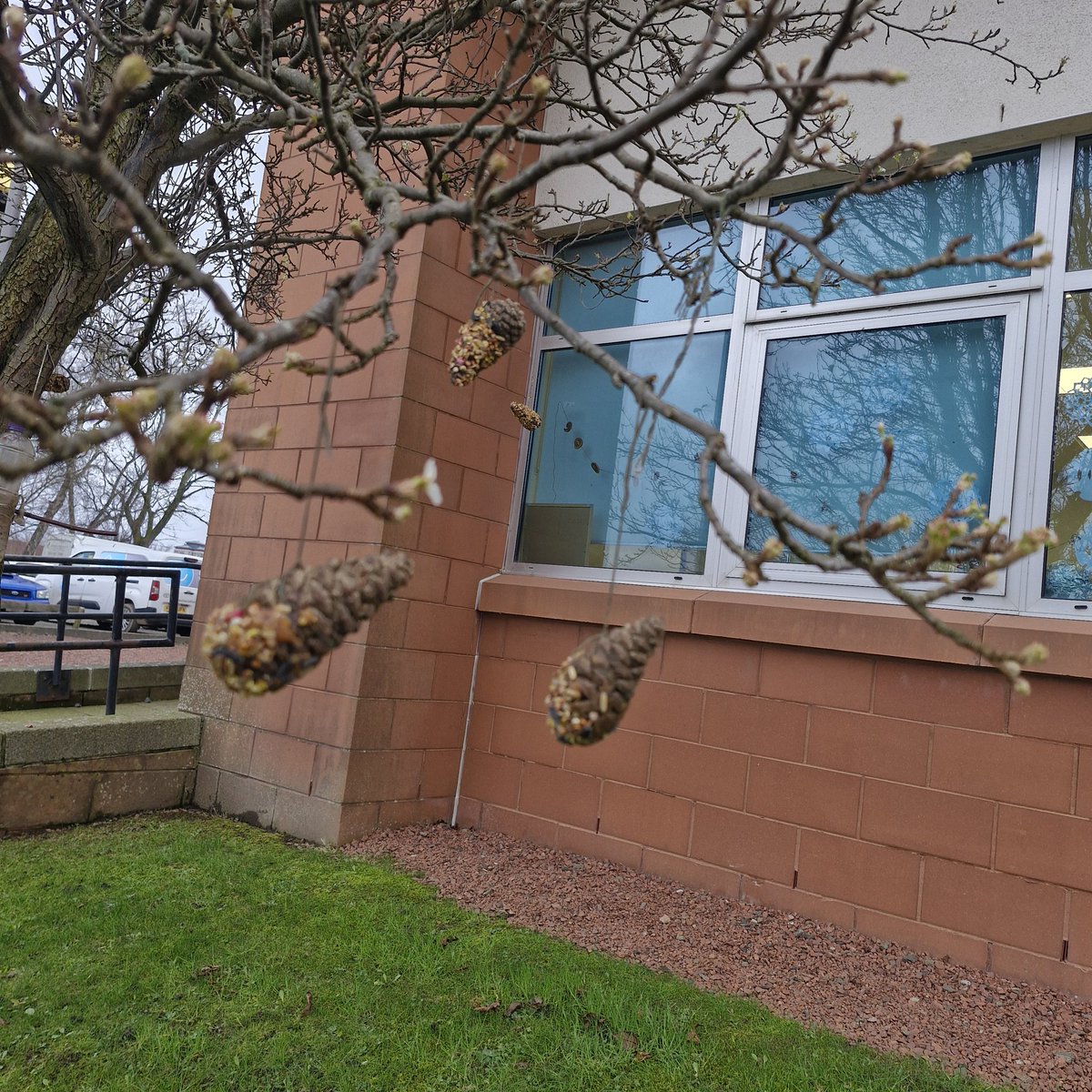 WCS Learner Development Sustainability tweet media