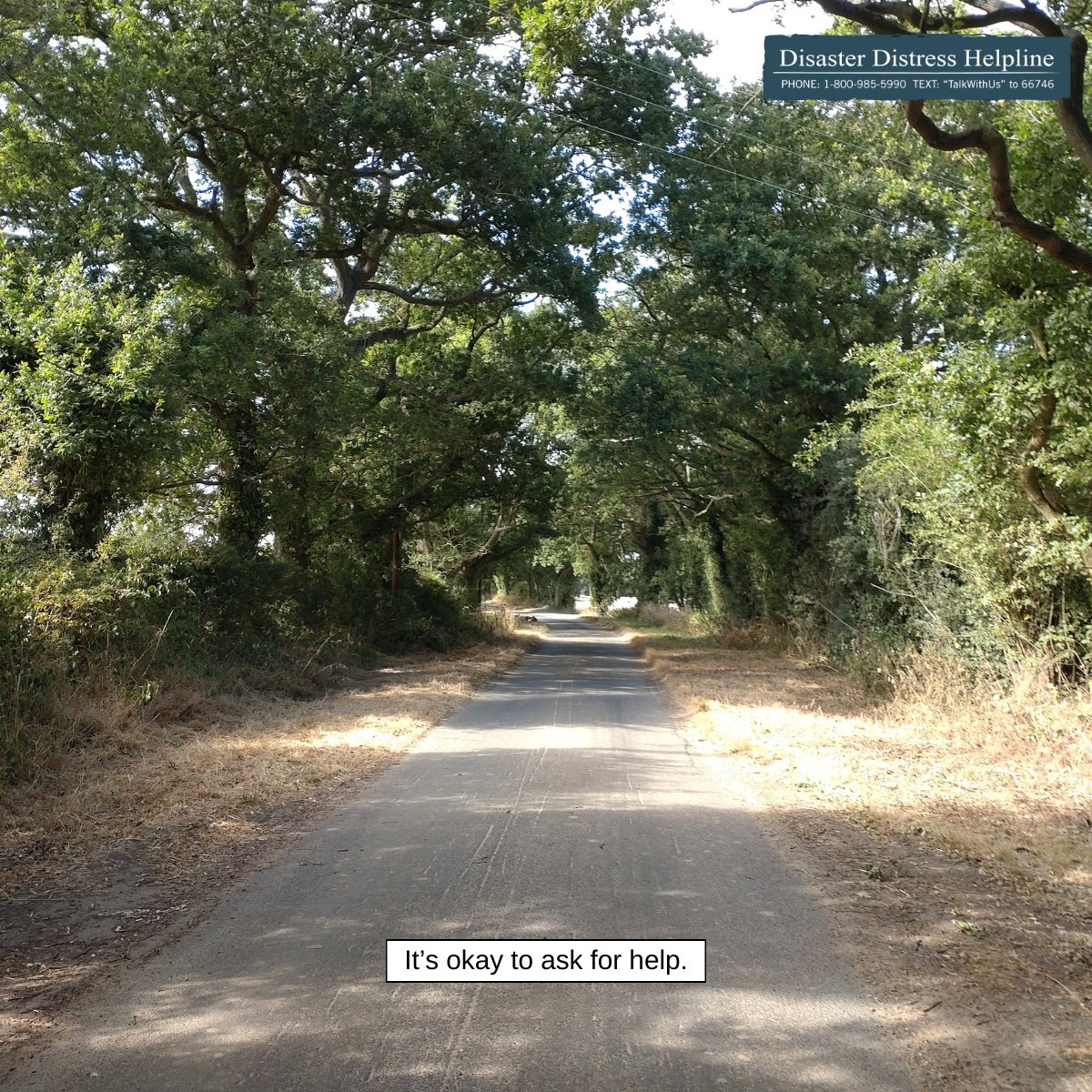 Disaster Distress Helpline tweet media