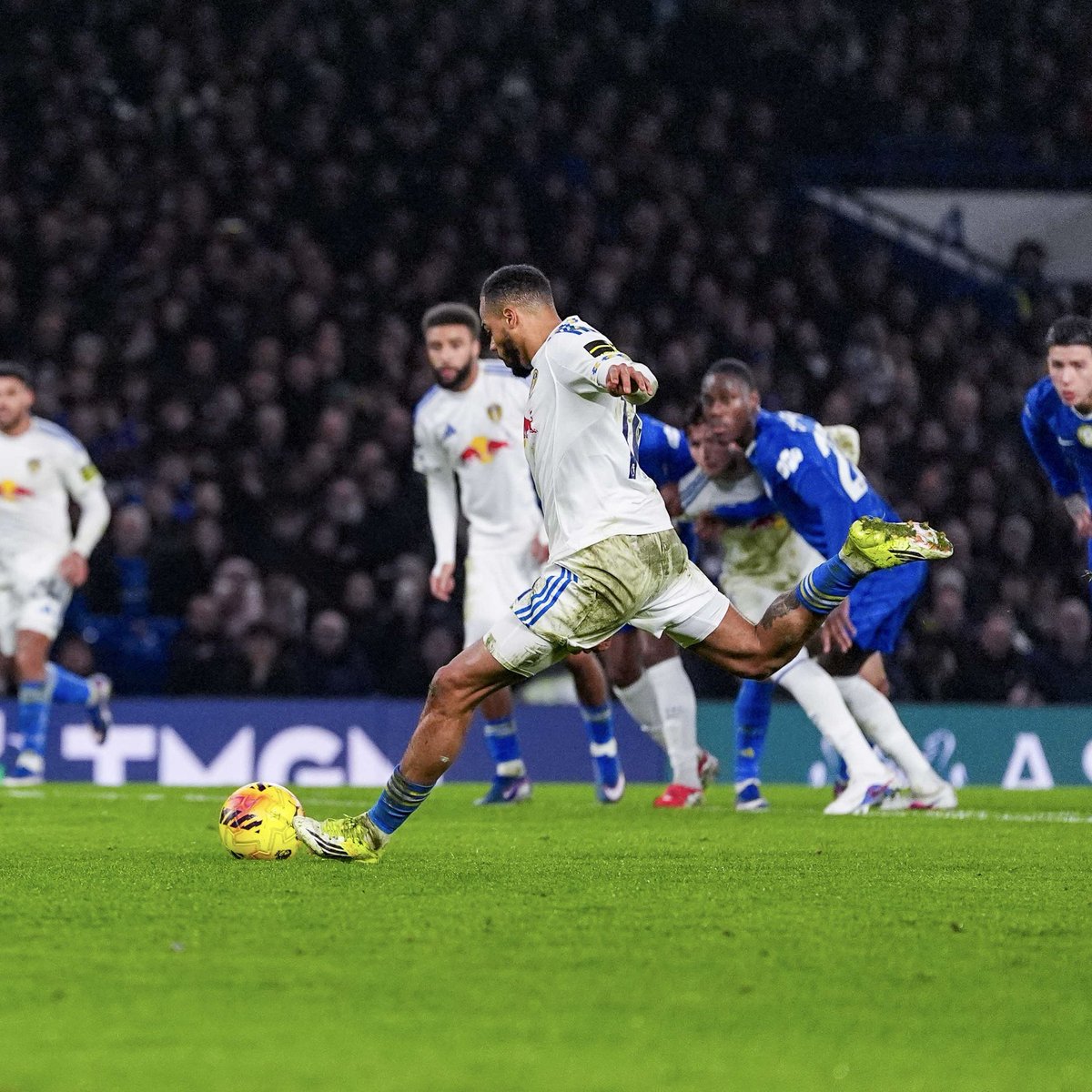 Ollie Ward tweet media