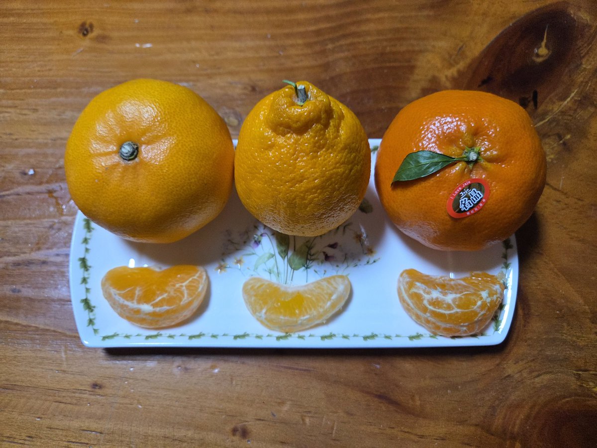 만감류 3종이 모여서 미식가 다람쥐에게 승자를 정해달라고 했는데...