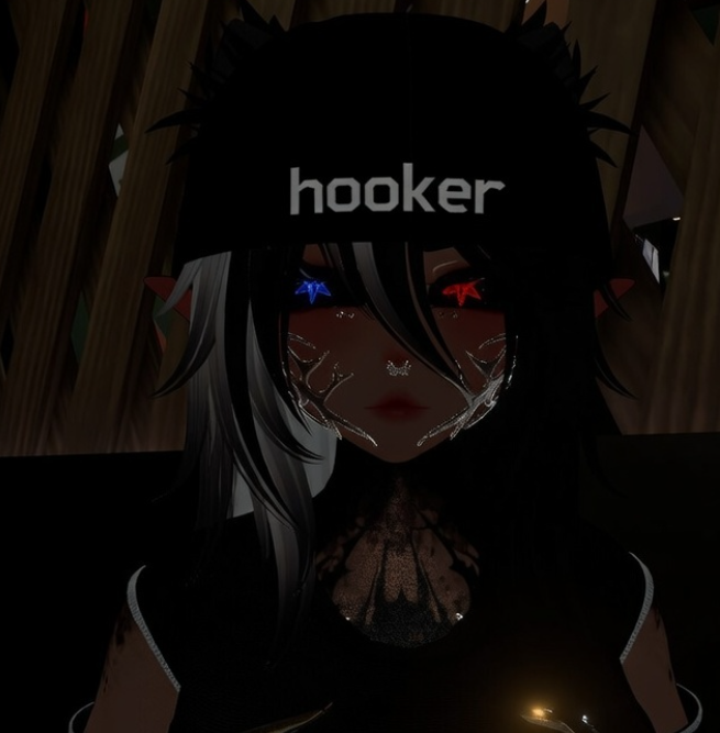 DSx Bullets tweet media