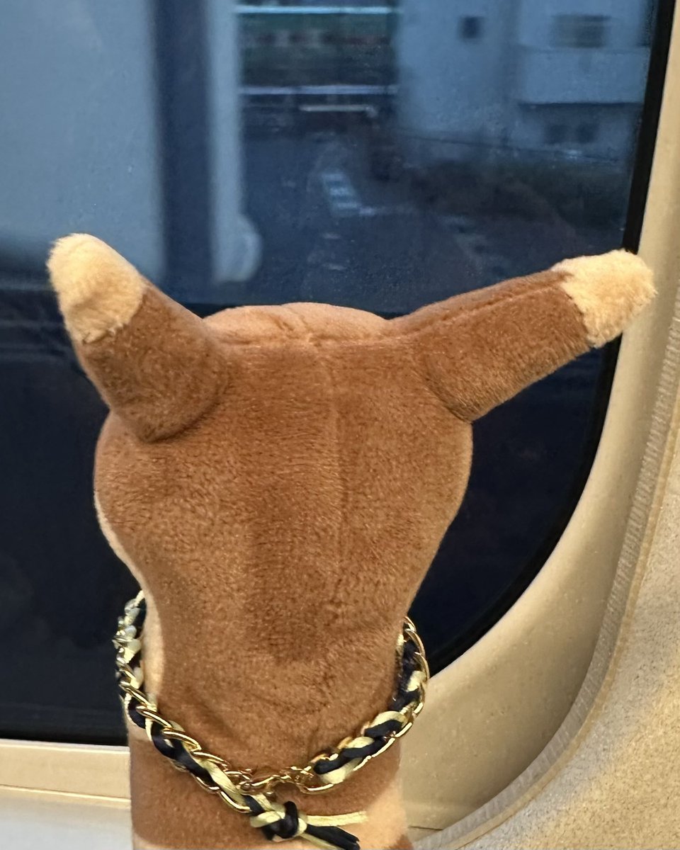 ｵ~ﾀﾁお出かけだよ😊😊