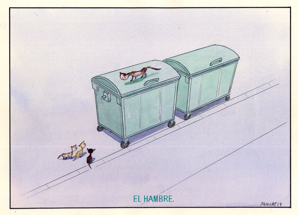 Paco Catalán. tweet media