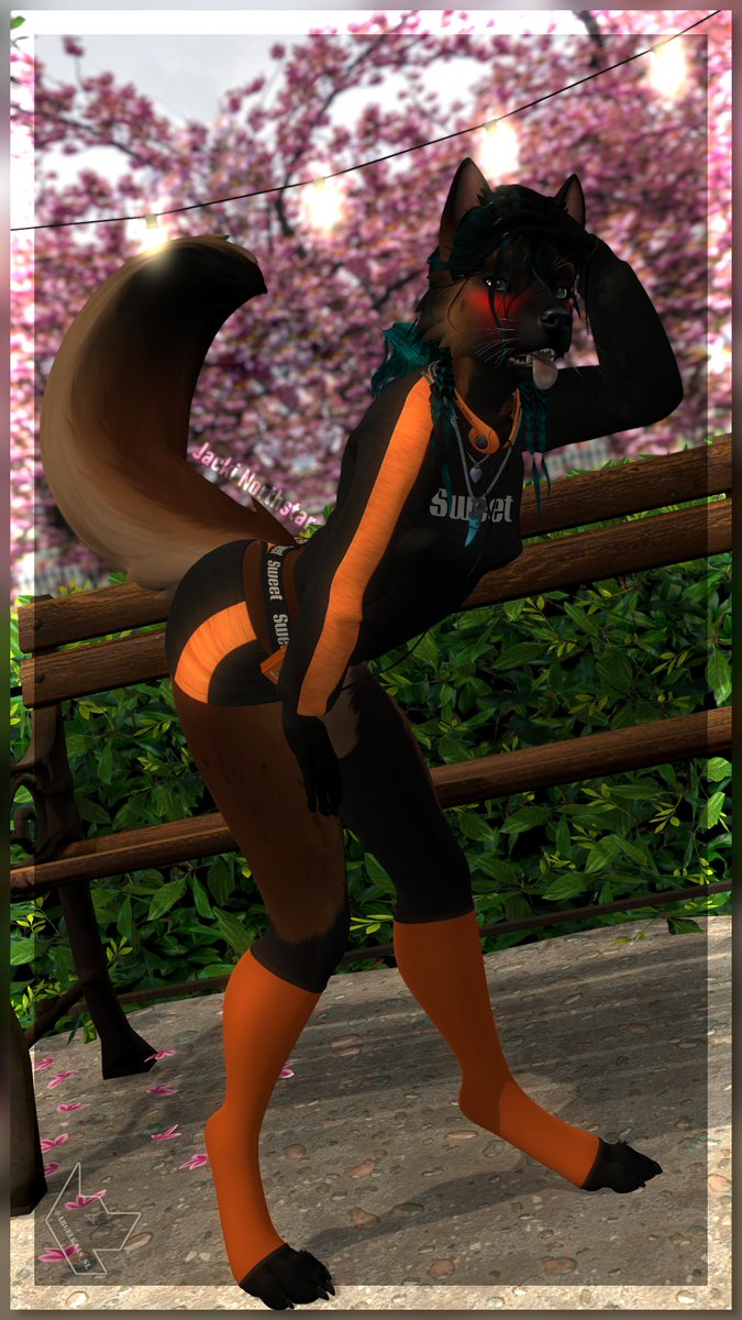 Jacki Northstar tweet media