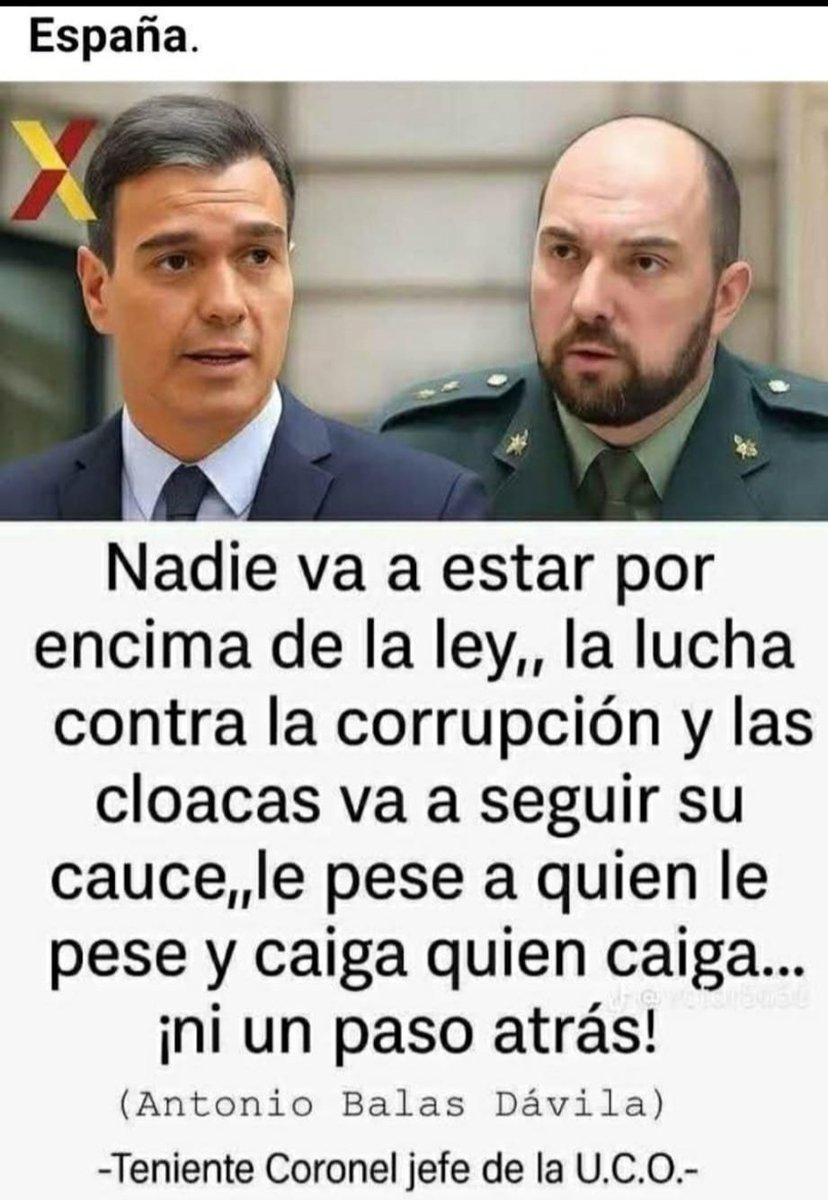 maria isabel boto tweet media