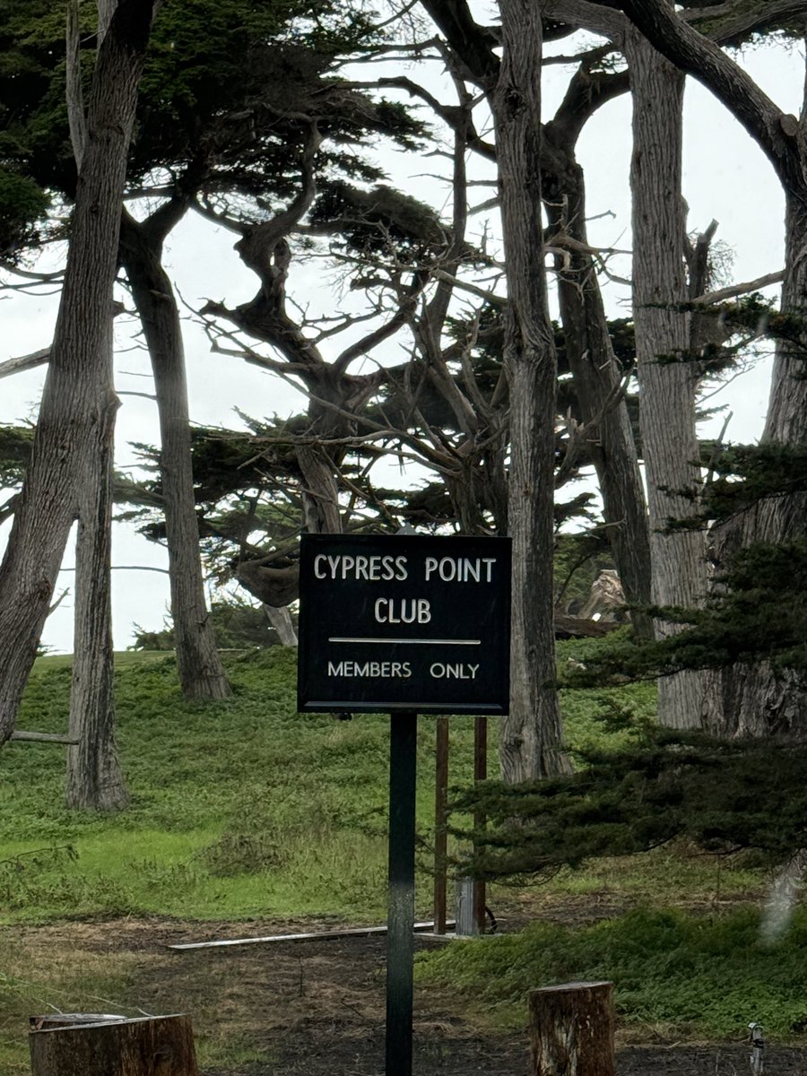 Michael S. Kim tweet media