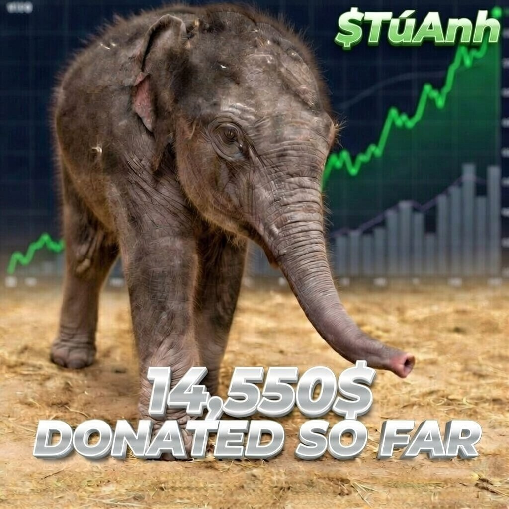 Another $1,637 donated to <a href="/NationalZoo/">National Zoo</a> 

Totaling $14,550!