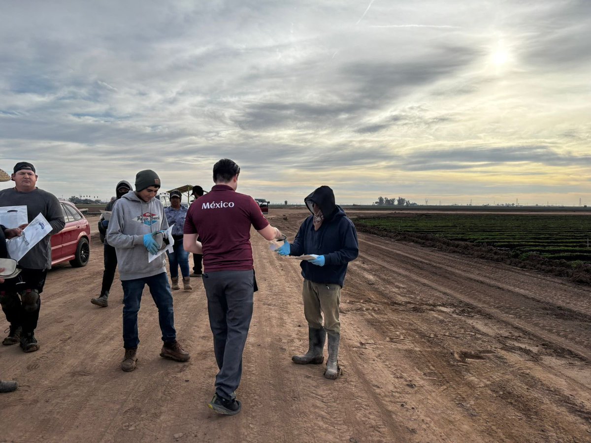 ConsulMexCal's tweet photo. Hoy el equipo de @ConsulMexCal visitó campos agrícolas del #ValleImperial para brindar ℹ️ sobre protección preventiva y los servicios consulares a más de 150 personas trabajadoras agrícolas 🇲🇽.
#CercaDeTi
#ConsuladosContigoMX. https://t.co/nka09GahRY