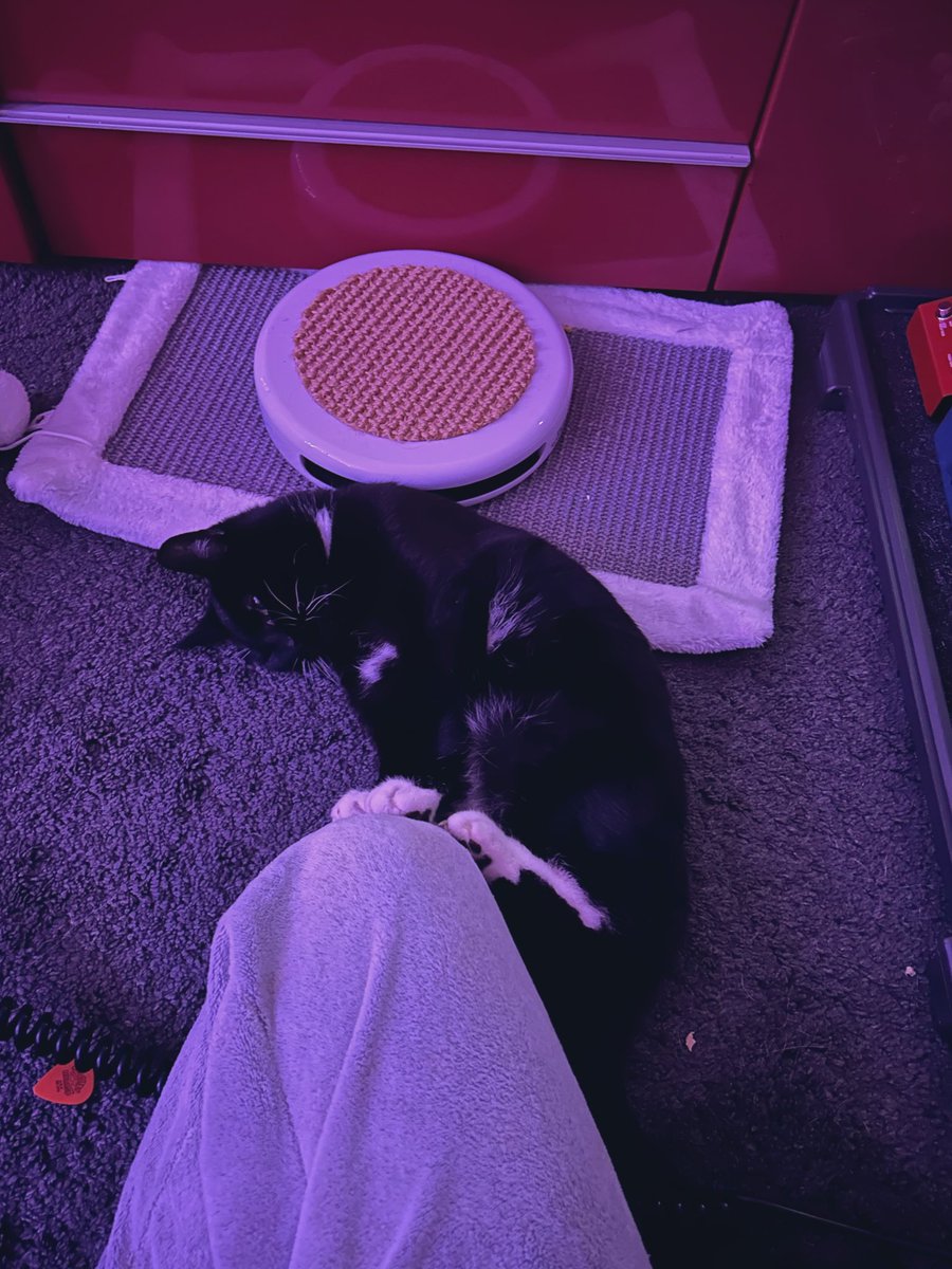 Joff 🎧🪿 tweet media