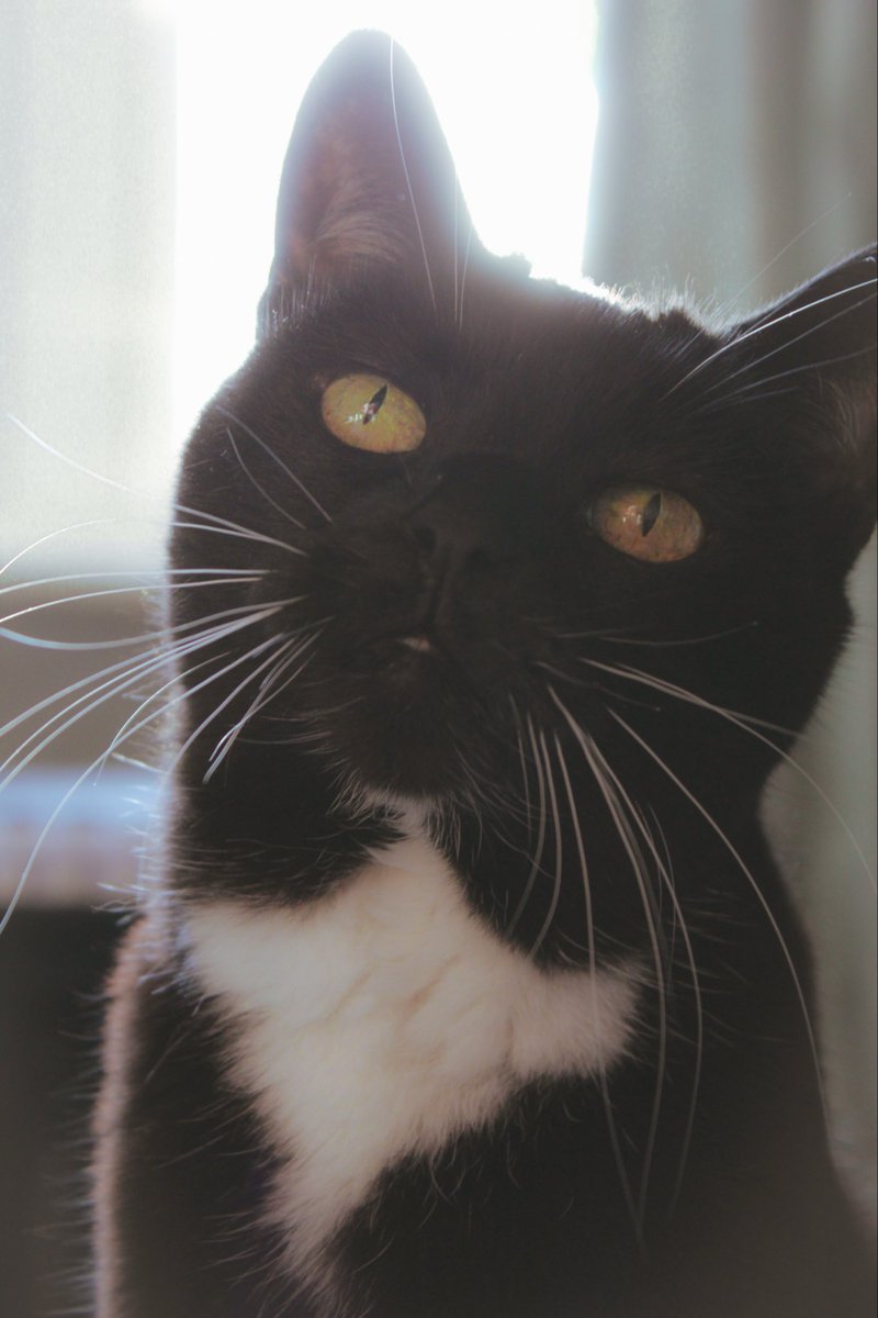 Joff 🎧🪿 tweet media