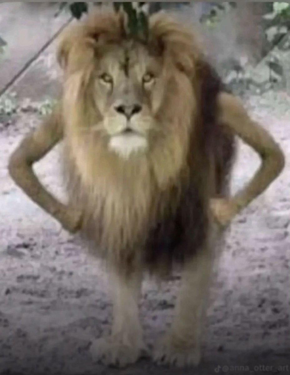 Ryan Whyte tweet media