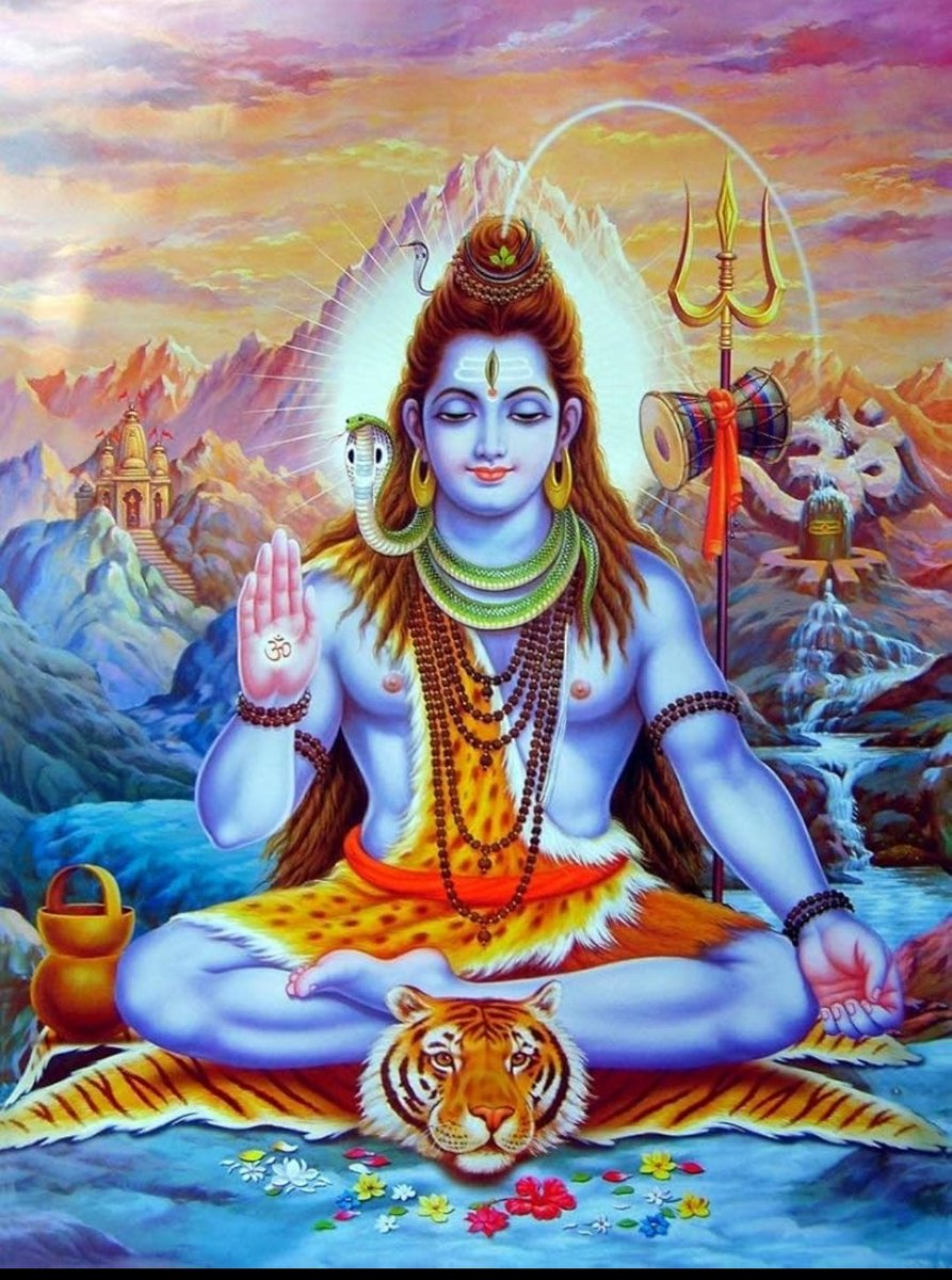 Vandana 🦋🦋 tweet media