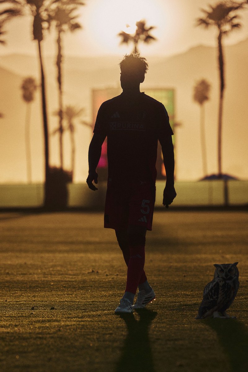 Owl CITY SC tweet media