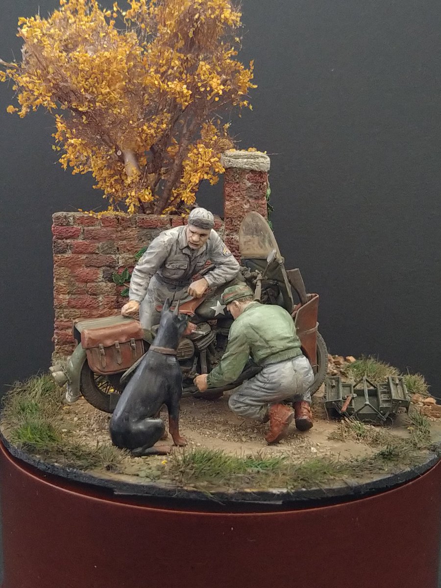 ノブえもん tweet media