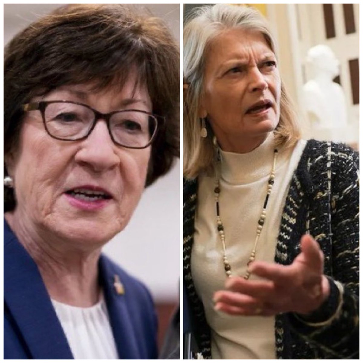 DollarTreeTrump's tweet image. 2 disgraceful hags….

Lisa Murkowski and Susan Collins are not RINOs. They are straight up Democrats. I know Alaska has that BS ranked choice thing but Collins needs to be primaried.