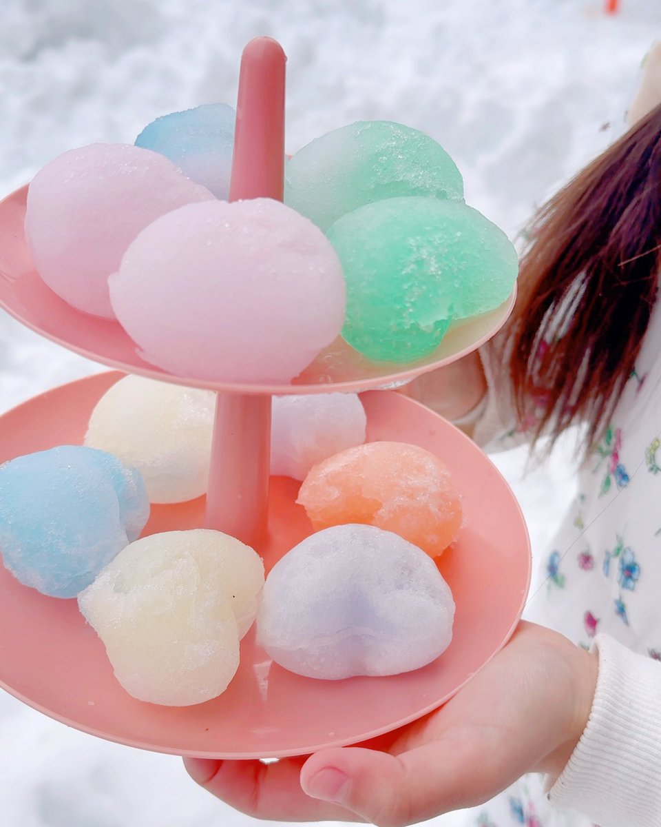 双子記録☺︎☺︎】 久しぶりにどっさり雪が積もった日❄️ 大きな山に