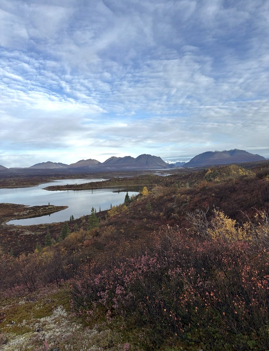 orosmind's tweet image. America is worth fighting for