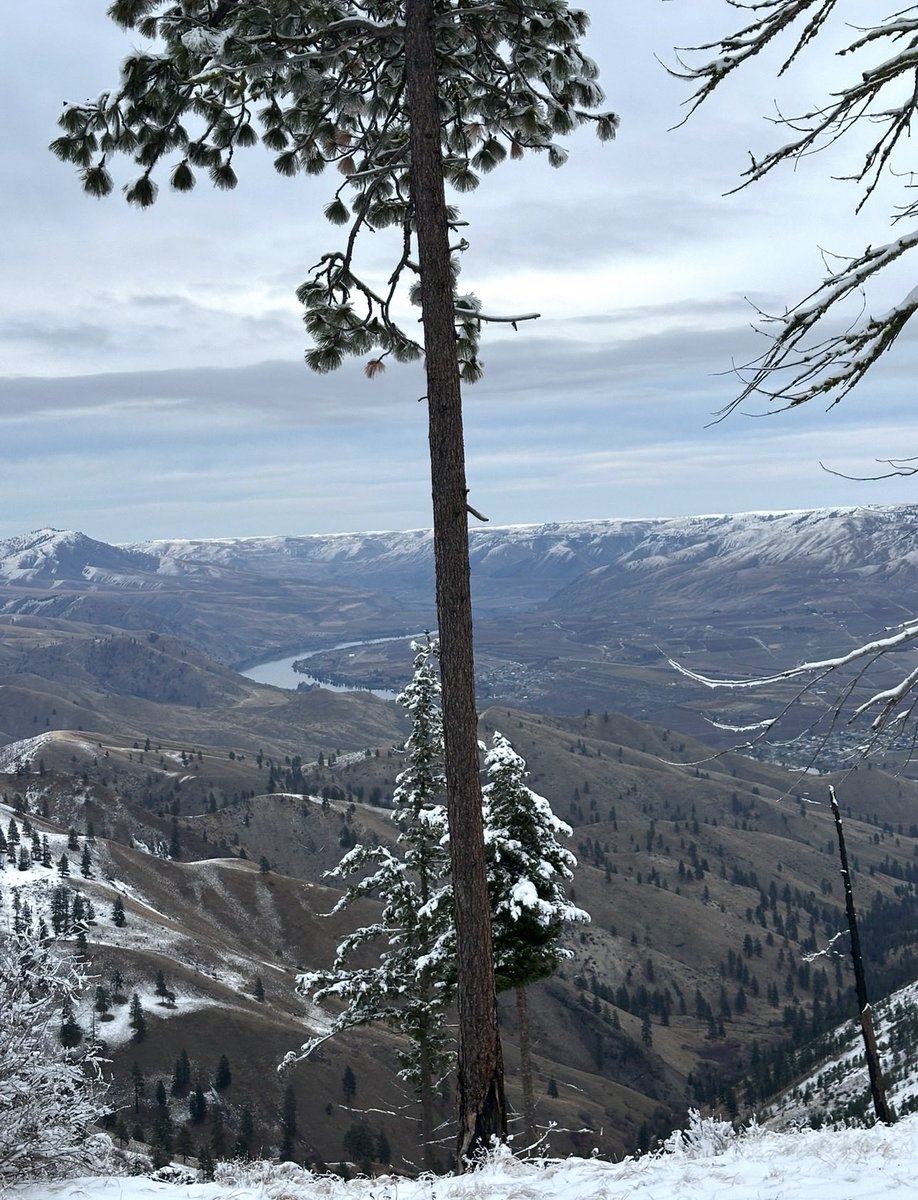 orosmind's tweet image. America is worth fighting for