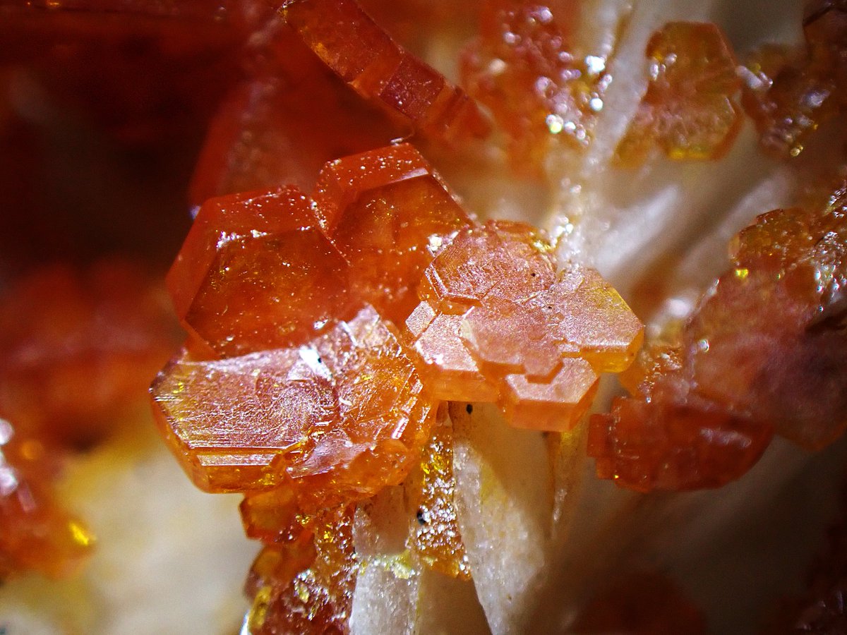 Vanadinite [バナジン鉛鉱] Mibladen, Morocco 重晶石の母岩に乗っかる