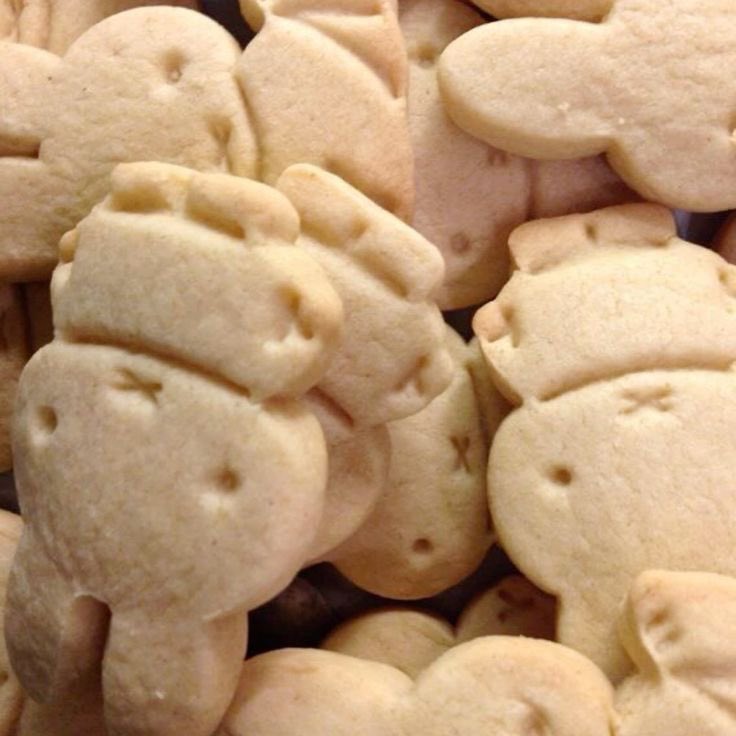 whimsy ⋆˚ 𝜗𝜚˚⋆🧁༉‧₊˚.🪽