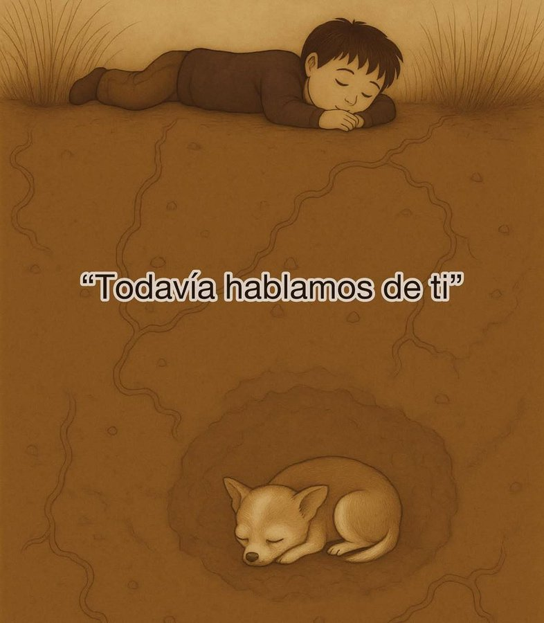Vive con Propósito. (@propositoyvida) on Twitter photo 