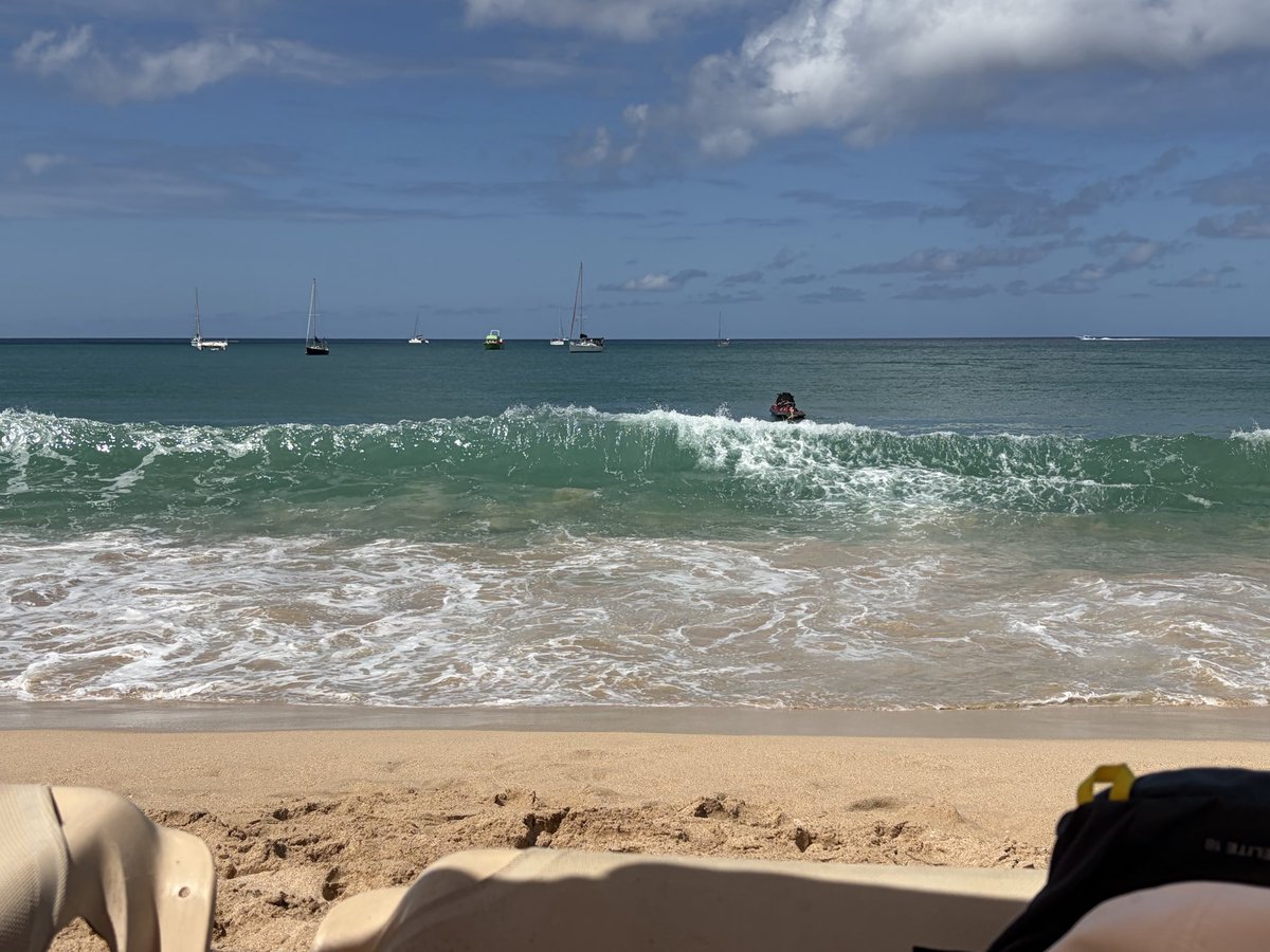 Derek D. tweet media