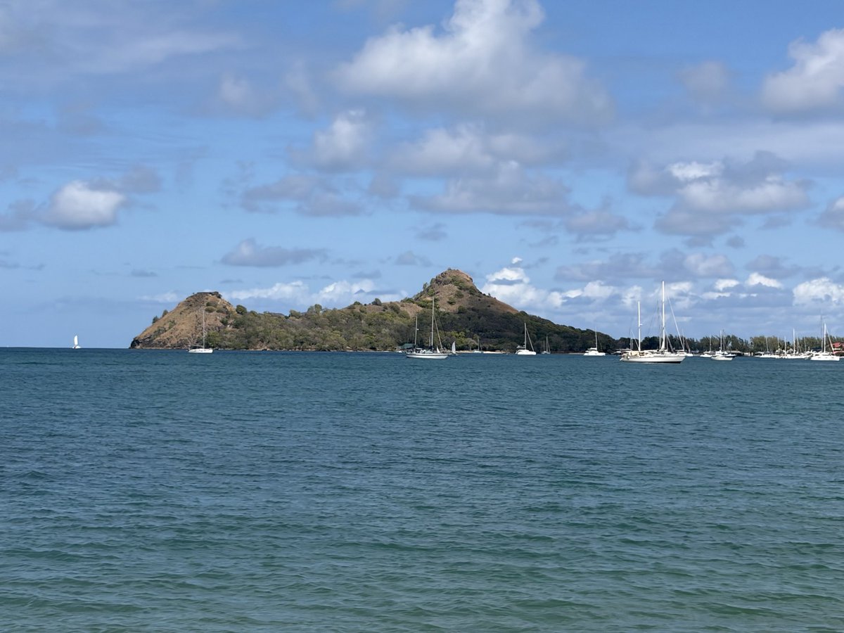 Derek D. tweet media