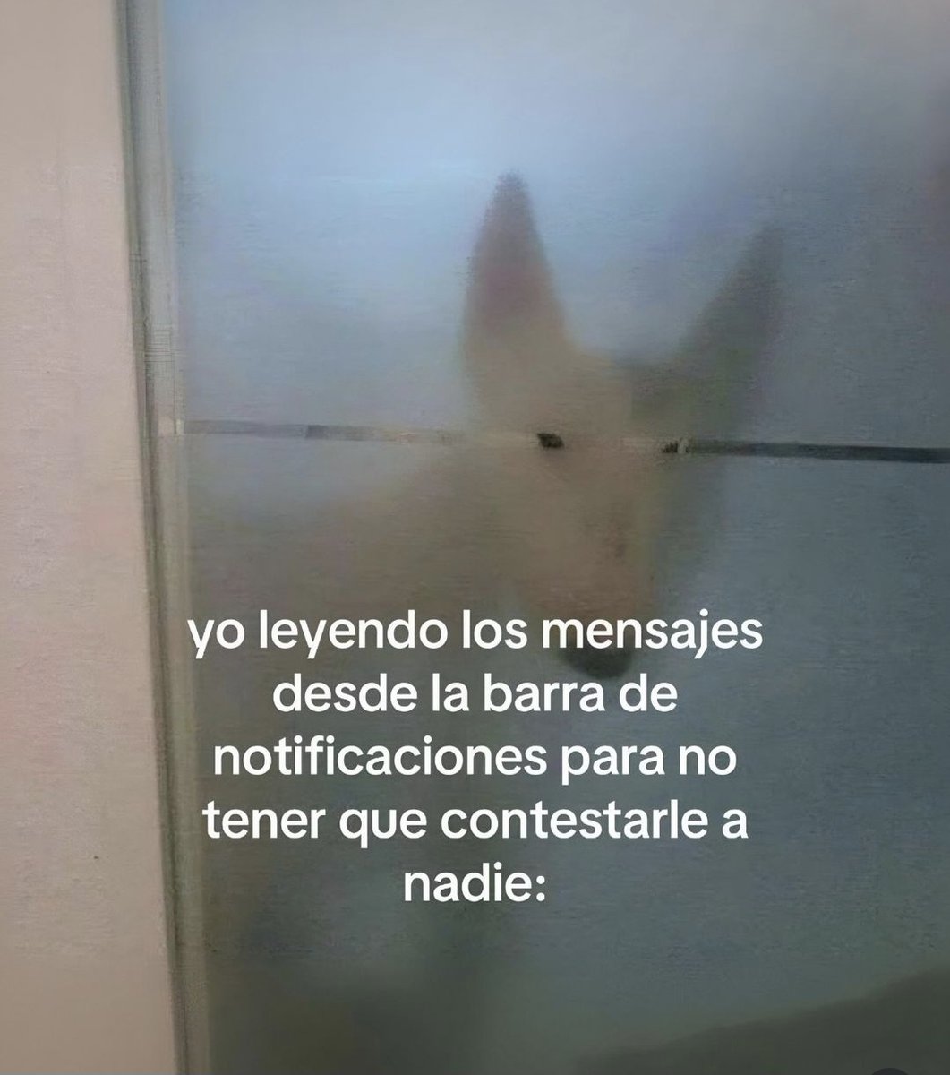 En Júpiter (@en_jupiter_) on Twitter photo 