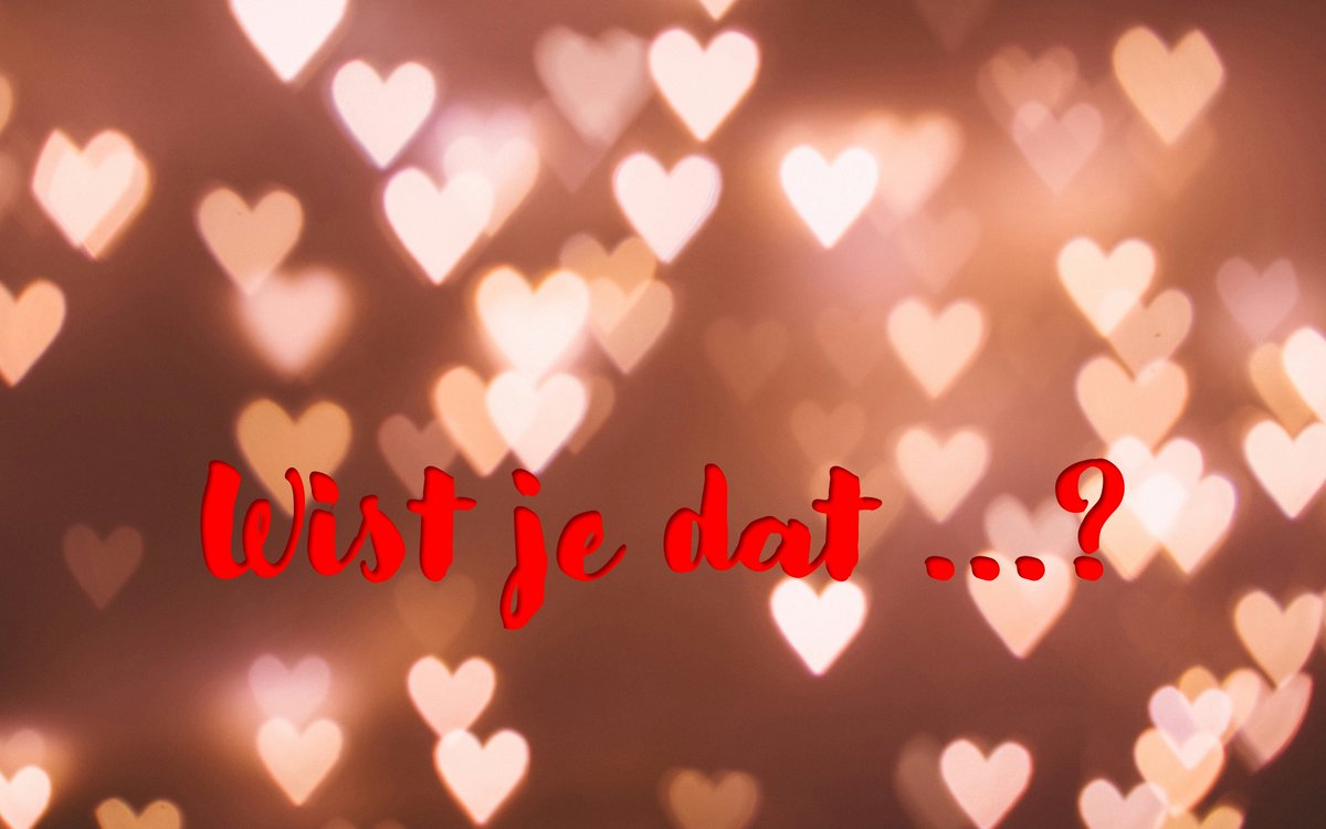 Filip Lardon tweet media