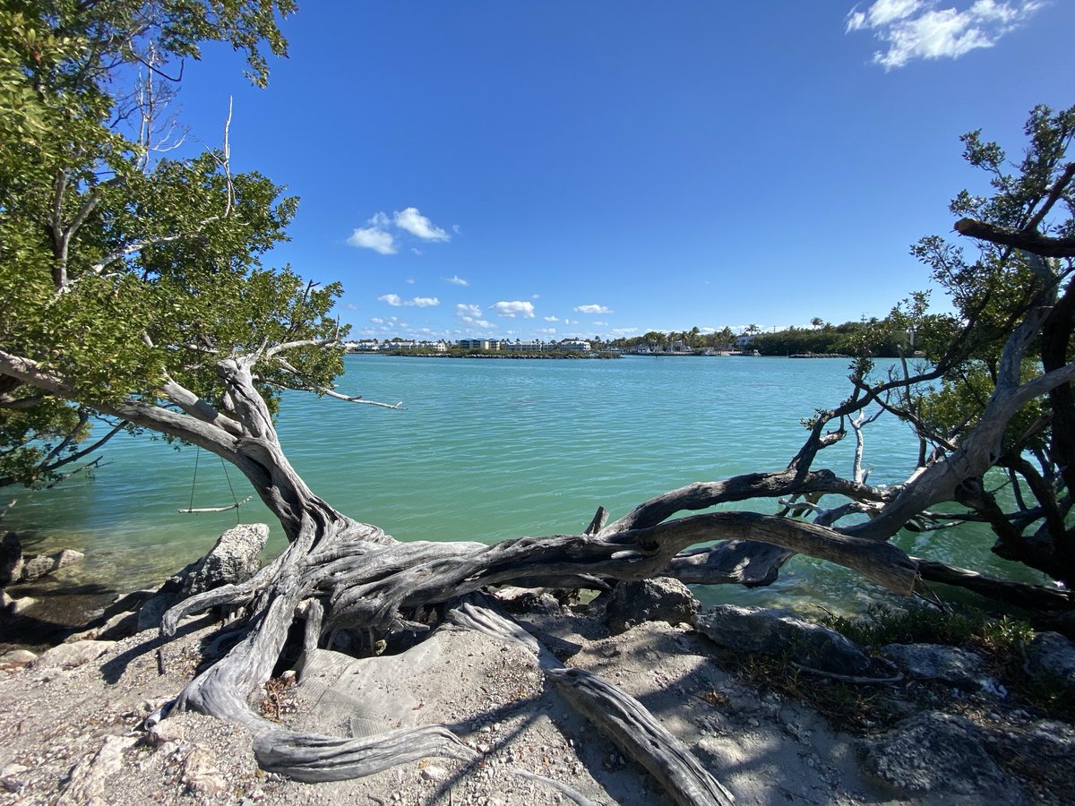 RacingToDisney's tweet image. I absolutely love this primitive swing I happed upon this afternoon near Duck Key. #KeysLife