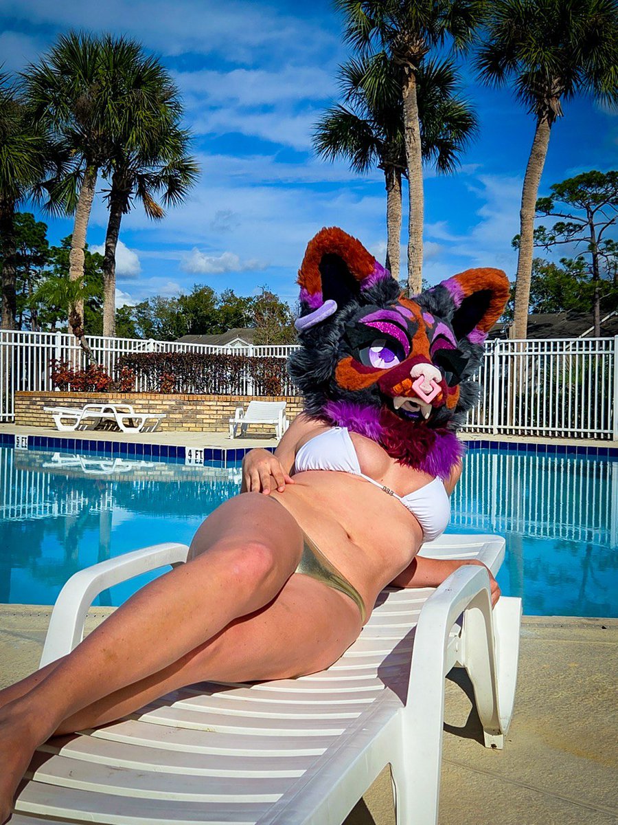 Sunbathing pup
📸🪄 - kisskisskurumi #FursuitEveryday