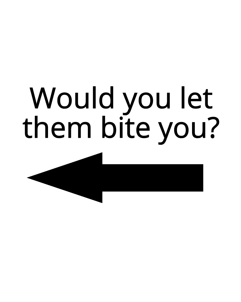 Careful she likes to bite cuties~ ❤️💜