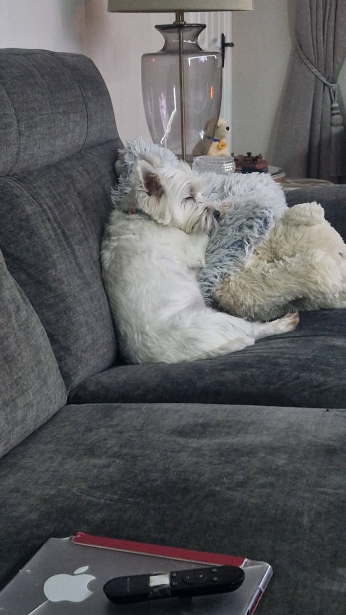 Molly cant listen to me anymore tonight