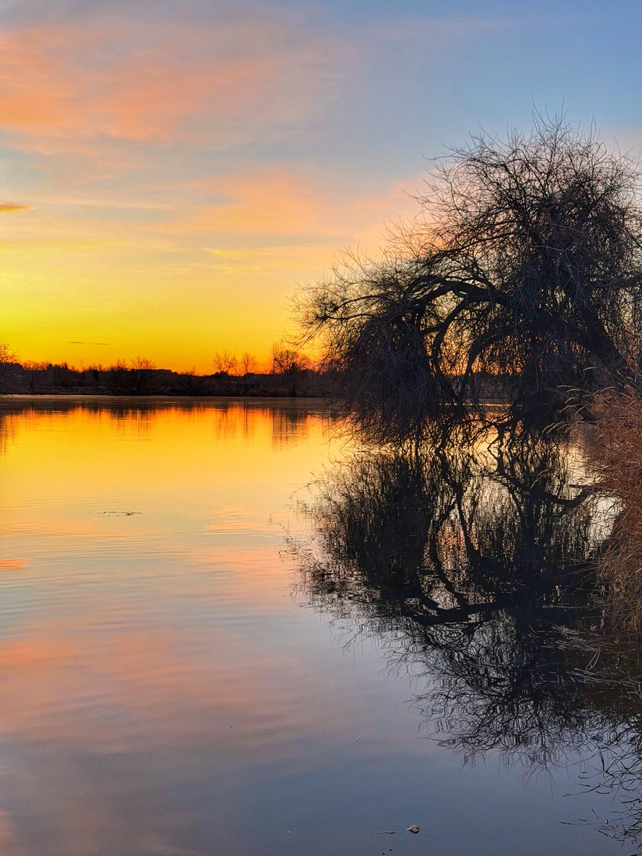 "Weeping willow cradling the dawn's first blush."

Share your water reflections!