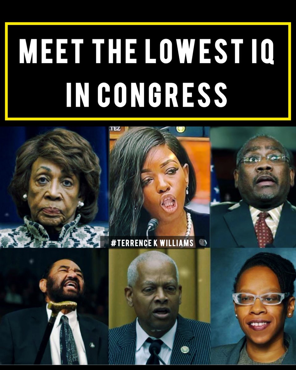 Meet the Lowest IQ in the United States Congress